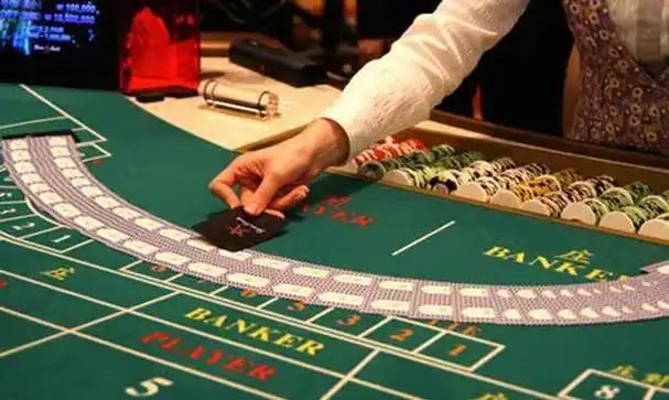 Golden rabbit themed slot preview for Bangladesh adults on abc8c8